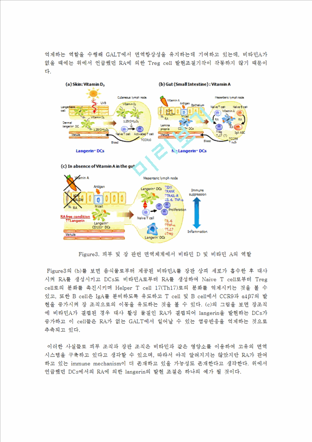 [의학,약학] 의학 - Retinoic Acid(RA)가 면역에 미치는 영향.hwp